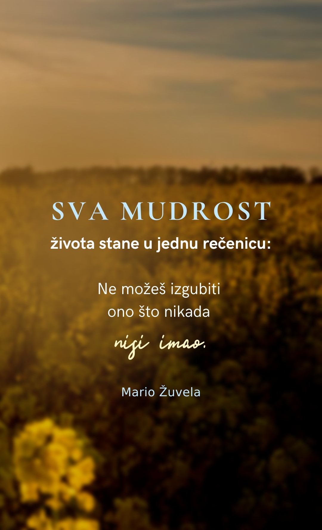 Nature Peace Freedom Photo Field Save Ukraine Instagram Story - 1